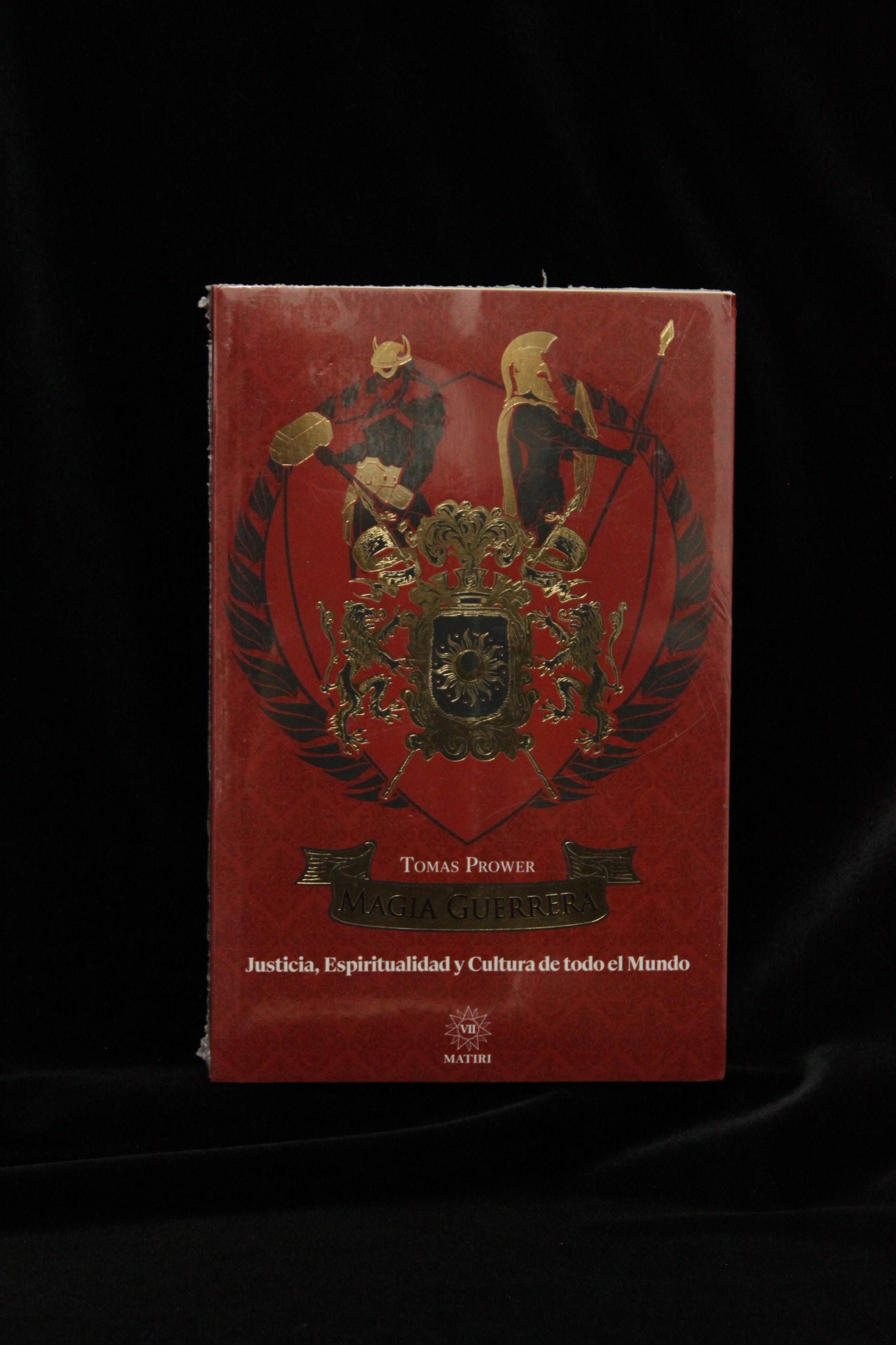 Libro Magia Guerrera