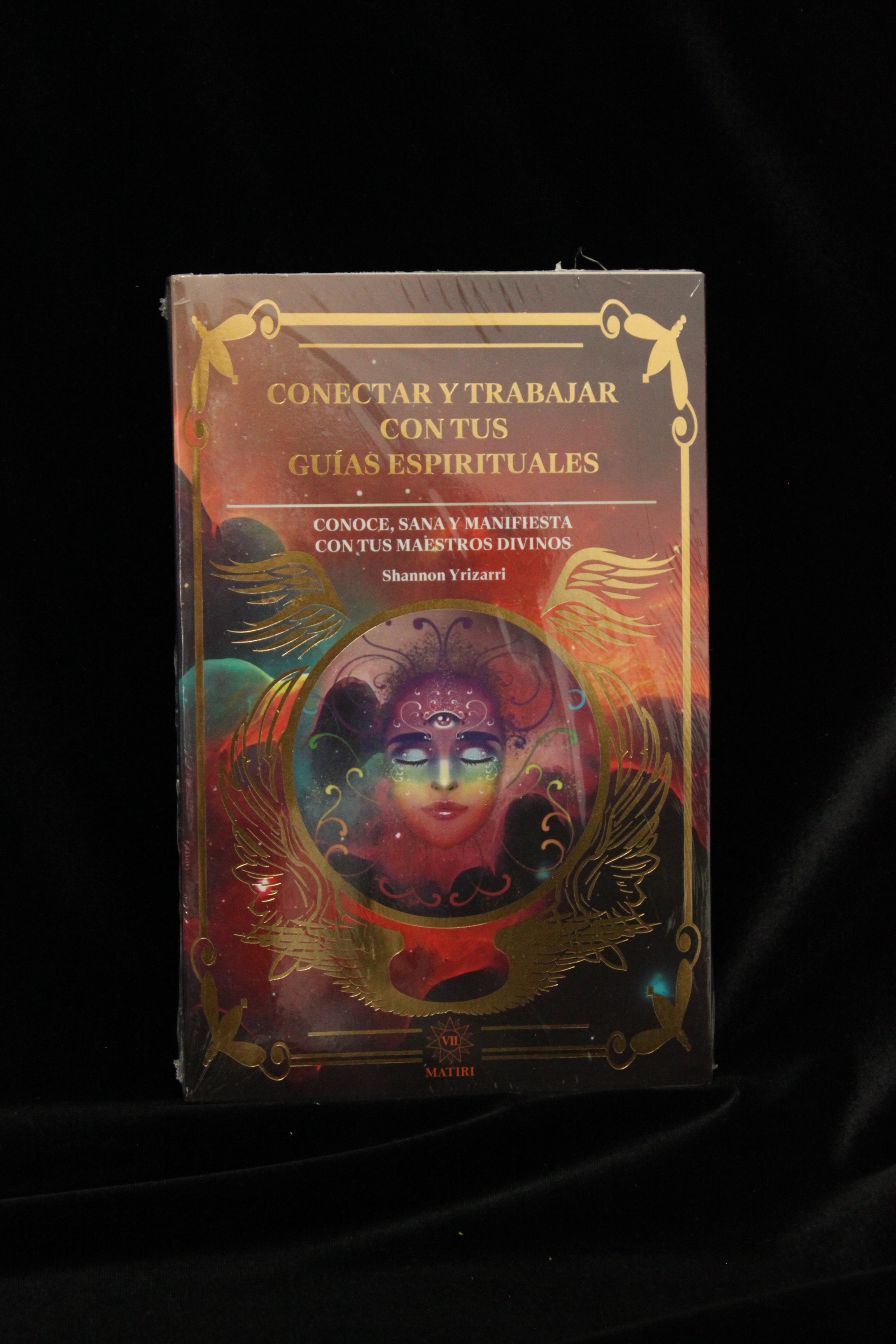 Libro Conectar y Trabajar Con Tus Guias Espirituales