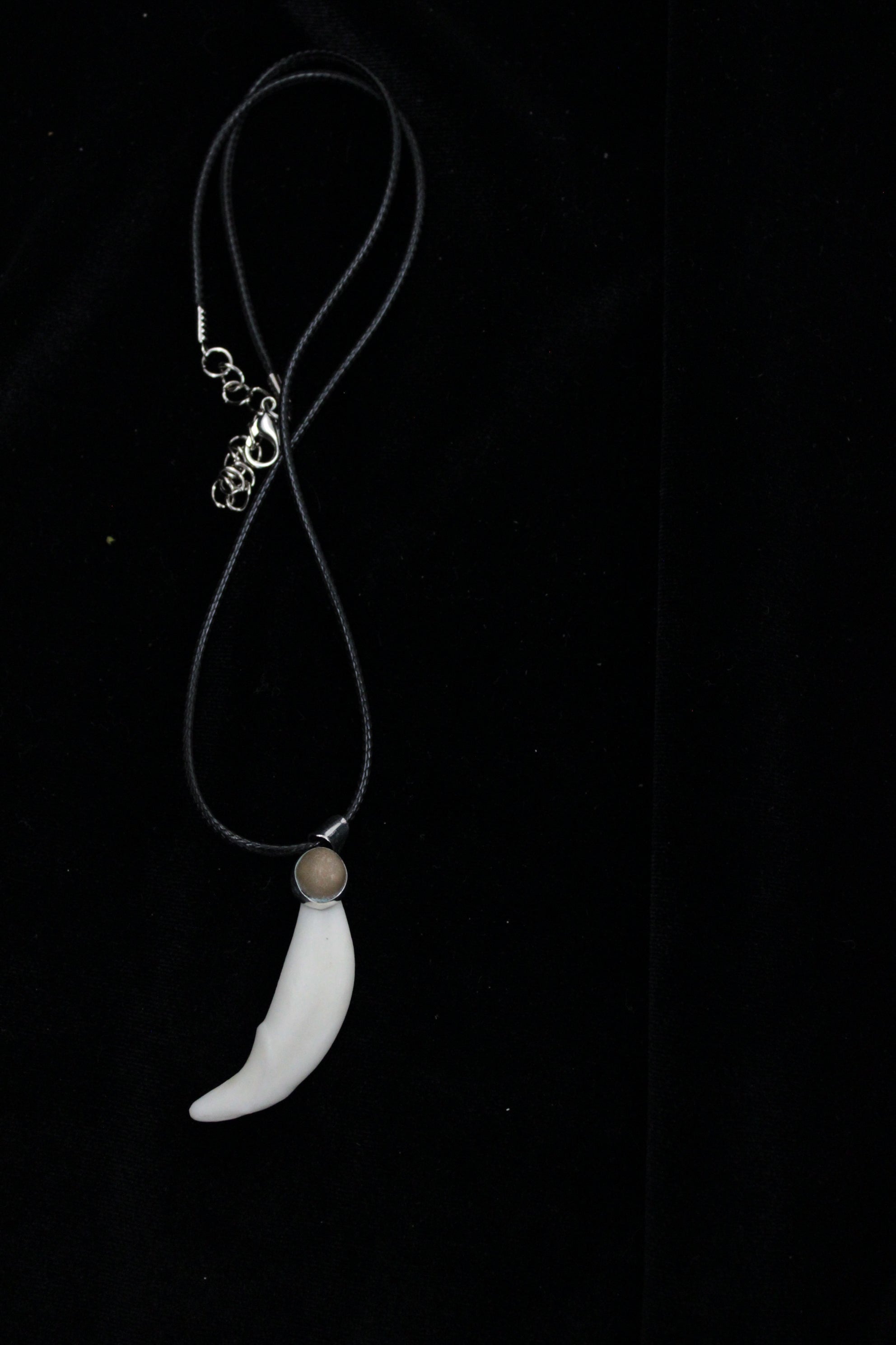 Protección Colmillo collar